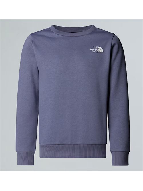 teen simple dome crew THE NORTH FACE | NF0A8AXYBTR1BTR